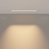 Фото TR031-4-24WTW-DD-W - 11