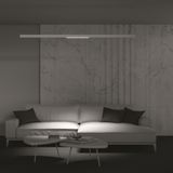 Фото TR031-4-24WTW-DD-W - 12