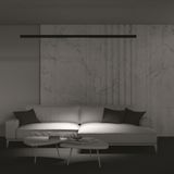 Фото TR031-4-24WTW-DD2-B - 10