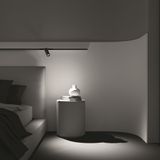 Фото TR032-2-12W3K-M-BBS - 17