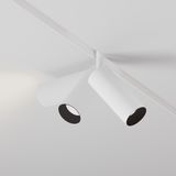 Фото TR032-2-12W3K-S-W - 4