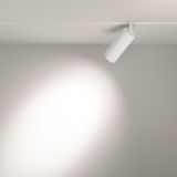 Фото TR032-2-20W4K-S-W - 11