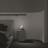 Фото TR032-2-5W3K-M-BBS - 19