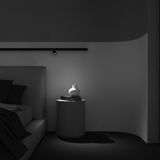 Фото TR032-2-5W3K-M-BBS - 9