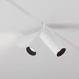 Фото TR032-4-12WTW-M-DD2-W - 5