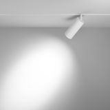 Фото TR032-4-20W3K-S-DS-W - 7