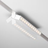 Фото TR033-4-12WTW-M-DSZ-W - 3