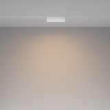 Фото TR036-4-12WTW-DSZ-W - 5