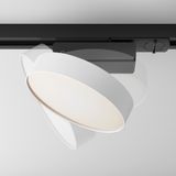 Фото TR043-1-12W3K-W - 4