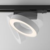 Фото TR044-1-12W3K-W - 5