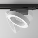 Фото TR044-1-12W4K-W - 4