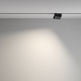 Фото TR077-2-10W4K-B - 4