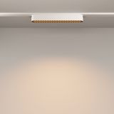 Фото TR084-1-12W3K-W - 12