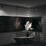 Фото TR085-1-5W4K-B - 3