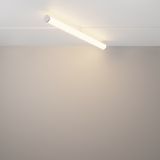 Фото TR086-4-25W-DS-W - 3