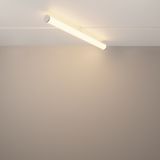 Фото TR086-4-25W-DS-W - 9