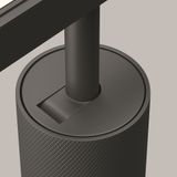 Фото TR097-2-12W4K-M-BB - 17