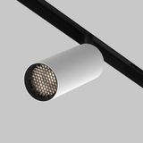 Фото TR097-2-12W4K-M-BW - 10