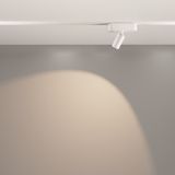 Фото TR103-1-5W4K-M-W - 14