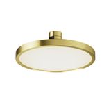 Фото TR153-1-10W4K-BS - 1