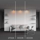 Фото TR185-1-3W4K-B - 6