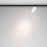 Фото TR187-1-5W4K-M-BW - 5