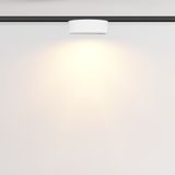 Фото TR189-1-12W2.7K-BW - 4