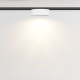 Фото TR189-1-12W3K-BW - 4