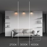 Фото TR189-1-12W4K-B - 8