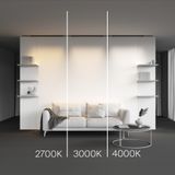 Фото TR192-1-21W4K-B - 5