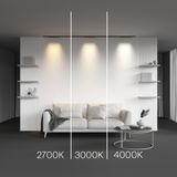 Фото TR192-1-8W3K-B - 6