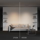 Фото TR196-3-10W4K-W - 10