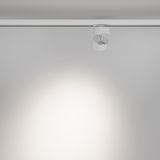 Фото TR199-3-15W4K-M-W - 4