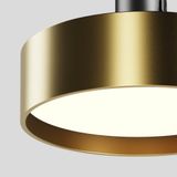 Фото TR204-1-12W3K-BBS - 3