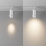 Фото TR211-1-12W3K-Z-W - 5