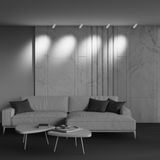 Фото TR212-1-12WTW-DD-Z-W - 10