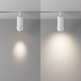 Фото TR212-4-12WTW-Z-DSZ-W - 4