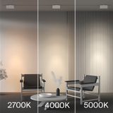 Фото TR223-1-12WCCT-W-W - 3