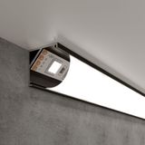 Фото LL-2-ALP008 - 1