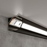 Фото LL-2-ALP008 - 1
