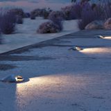 Фото O044DL-L1S3K1 - 10