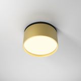 Фото DL024-12W3K-BMG - 4