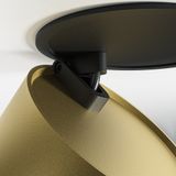 Фото DL024-12W4K-BMG - 2