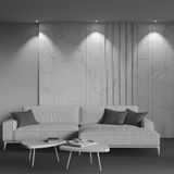 Фото DL043-01-10W3K-RD-W - 8