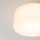 Фото DL065-12W3K-TRS-W - 2