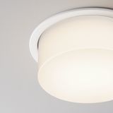 Фото DL065-12W4K-W - 2