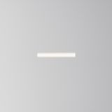 Фото DL066-12W3-6K-TRS-W - 4