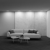 Фото DL066-20W3-6K-TRS-W - 6