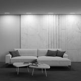 Фото DL066-20W3-6K-TRS-W - 8