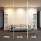 Фото DL100-12W2.7-3-4K-B - 5